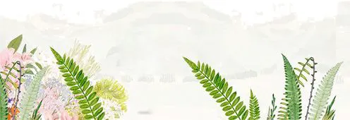 如何利用智能预警数据改善篮球团队协作_2